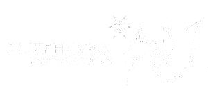 shop-plethora